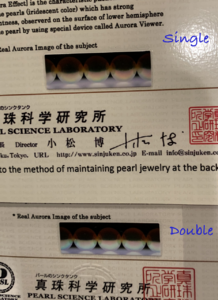IMG_1012.png