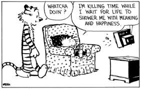 calvinandhobbeskillingtime.jpg