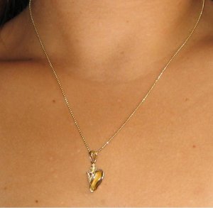 conchnecklace.JPG