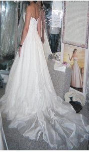 maggiesotterodresscorrectedproportionback.jpg