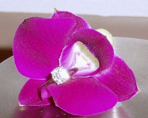 Tam ring_5.jpg