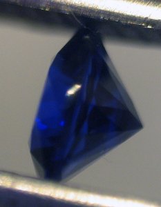 IMG_7473.jpg