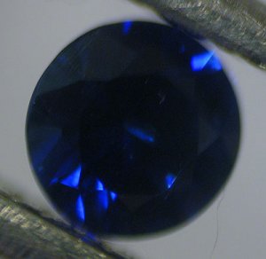 IMG_7484.jpg