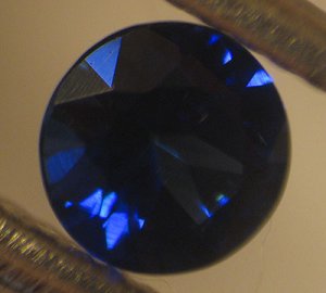 IMG_7487.jpg