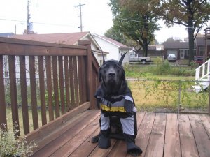 max halloween.jpg