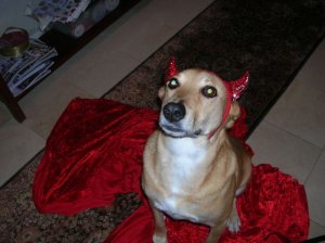 Demon Dog0001.jpg
