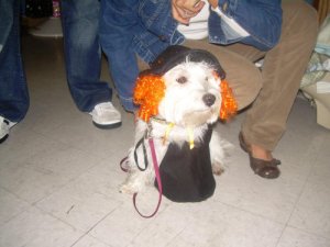 Halloween%20Pictures%20013.jpg