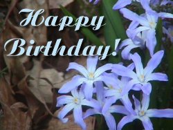 flowersforyourbirthday.jpg