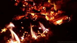 BGV5ZOf.gif