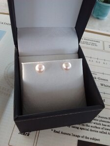 IMG_20201119_160622110.jpg