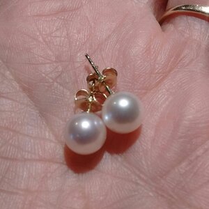 IMG_20201119_162317.jpg