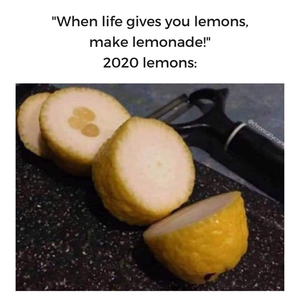 2020lemons.png