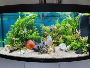 20201111_122348.jpg