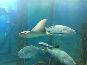 5098CDF2-FF6A-42CA-9C0C-3551D62FFE26.jpeg