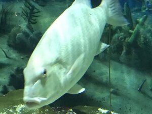 3F4B2846-0294-462B-AC1C-A2D8DC7EF131.jpeg
