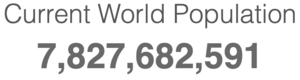 Screen Shot 2020-11-24 at 2.21.42 PM.png