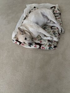 07D08D81-88DD-4637-AA49-A8F2DB1EC94B.jpeg