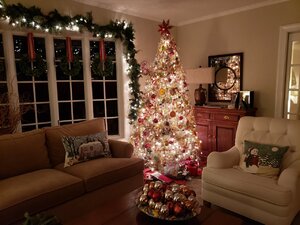 20201202_224355.jpg