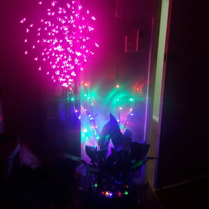 20201206_213629.jpg