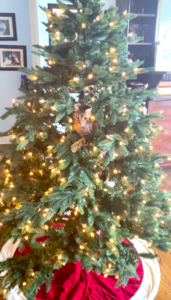 tommyinthemiddleofthetree2020.png