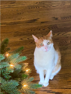 oliverandthetree2020.png
