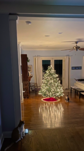 oliverandbobbyxmastree2020.png
