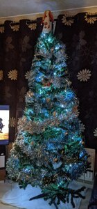 PXL_20201205_171616363.MP.jpg