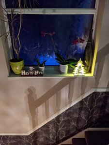 PXL_20201205_171006380.jpg
