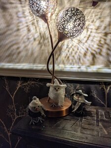 PXL_20201205_185125723.jpg