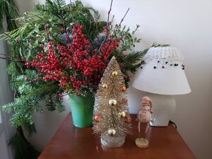 20201207_143125.jpg