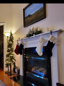 20201207_204951.jpg
