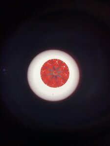 2C6D0DE7-EFAF-4C00-B464-36356573AC6F.jpeg 2C6D0DE7-EFAF-4C00-B464-36356573AC6F.jpeg