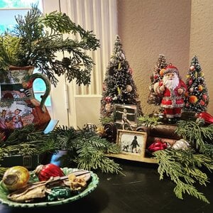 IMG_20201128_142051_209.jpg