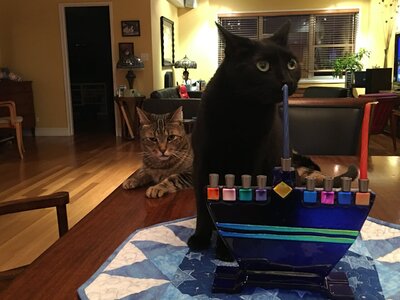 hanukkahcats.jpg