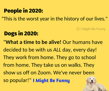 2020dogsvspeople.png
