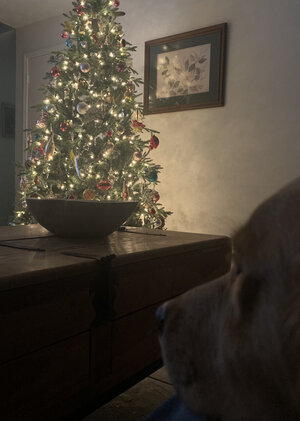 D717E79D-9464-4ECE-95FF-A2ECE531F2EB.jpeg