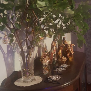 20201213_221322.jpg
