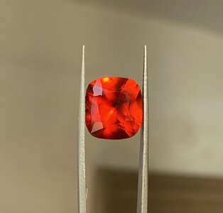 IMG_5739.jpeg