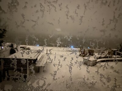 snowinbackyarddec2020.jpeg