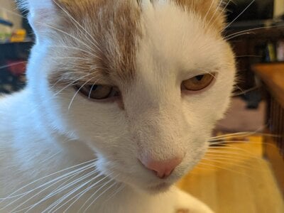 025C0924-C0B4-47DA-8C8A-15EAA760C617.jpeg