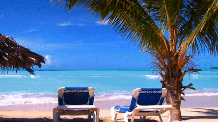 5F1E8030-B885-48F6-BAAF-32B151A81579.gif