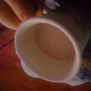 1608797181737312077248.thumb.jpg.8779c8bd9bed249e9e41339cb2995c96.jpg