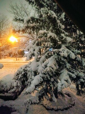 IMG_20201122_2023388_2-EFFECTS.jpg