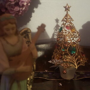 20201226_001447.jpg