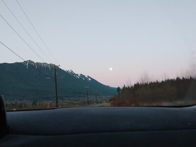 IMG_20201228_163109317.jpg
