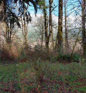 IMG_20201223_110621119_HDR~2.jpg