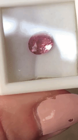 C76BA538-D0BA-4125-911E-57B853079327.gif