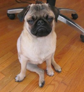 sallysmug.jpg