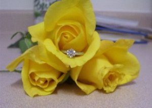 myringinmyyellowroses.jpg