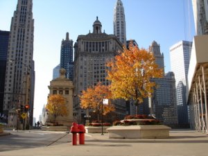 dtchicago.jpg